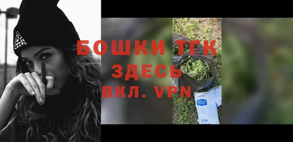 крисы Алагир